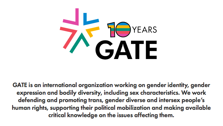 Who are Gate? They are an organisation based in New York lead by Mauro Cabral - one of the lead authors of the Yogyakarta Principles and the YP + 10