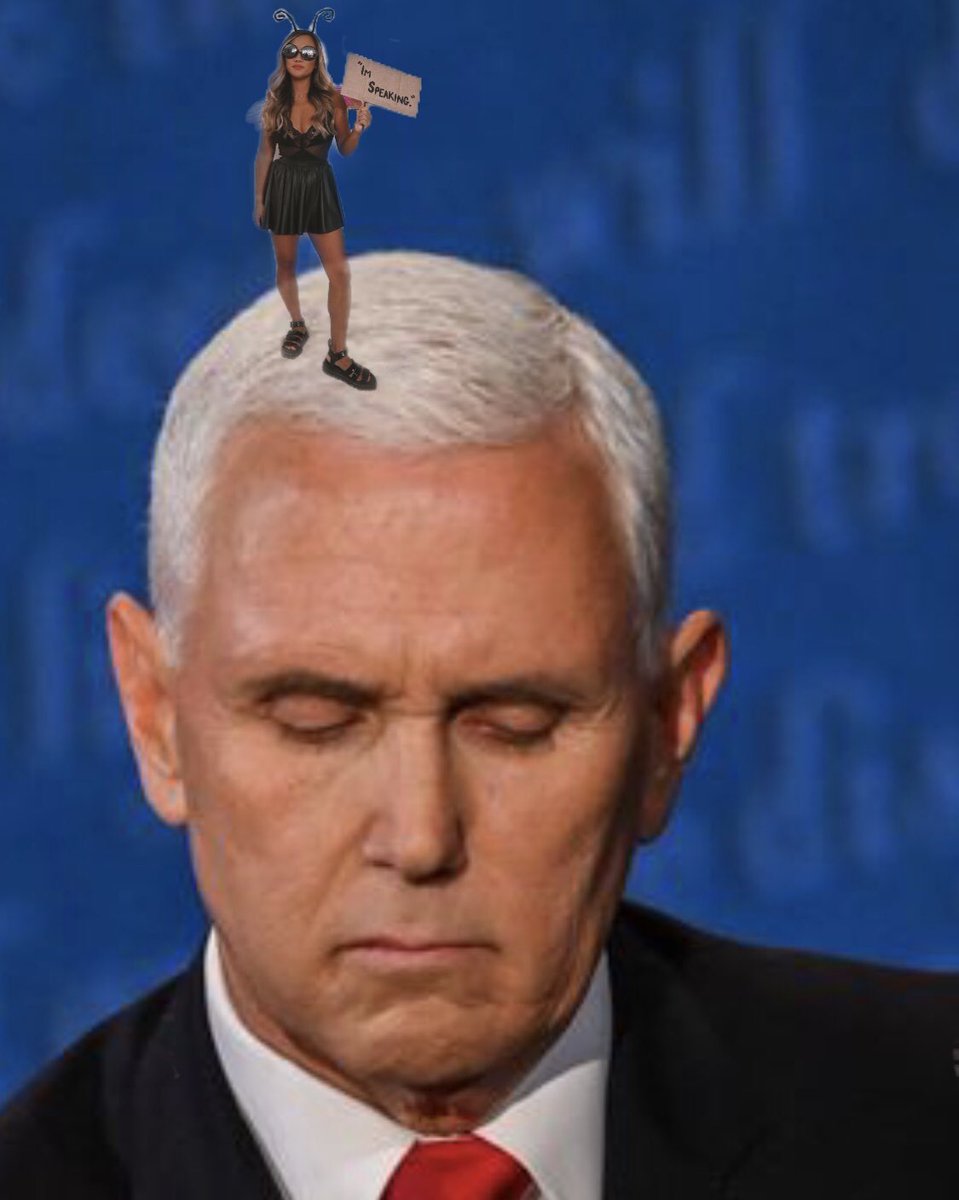 Annie_Wu_22's tweet photo. happy Halloween from the only thing thats ever sat on Pence’s face, RBG sent me. 🦟#flyonpence #vote #Halloween2020 https://t.co/pM6piG2NeP