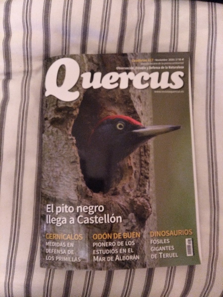 gubrins's tweet photo. con esta portada tenía que caer @RevistaQuercus fin de semana de confinamiento y lectura! https://t.co/1QvsajhRWH