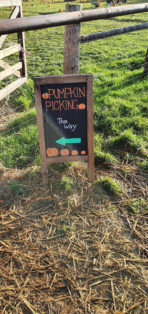 TheHelpfulHiker's tweet photo. Glad we got out for a dayvof Halloween fun today ๐ Might be our last outing for a while ๐ #northants #northantsbloggers #getoutside https://t.co/GU7m1O1Pxq