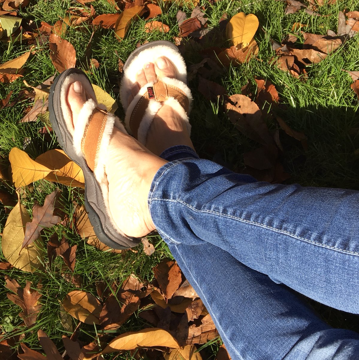 RipaSandals's tweet photo. Slip into your pair of Himalayan all natural shearling sandals and enjoy wearing sandals all year around! Only at https://t.co/eLVtAI5E7o 
#cozy #slippersforher #slippperforhim #sport #sandals #giftideas #shearling #houseshoes #furry #flipflops #footwear #fallfashion #new https://t.co/XODXuhK72R