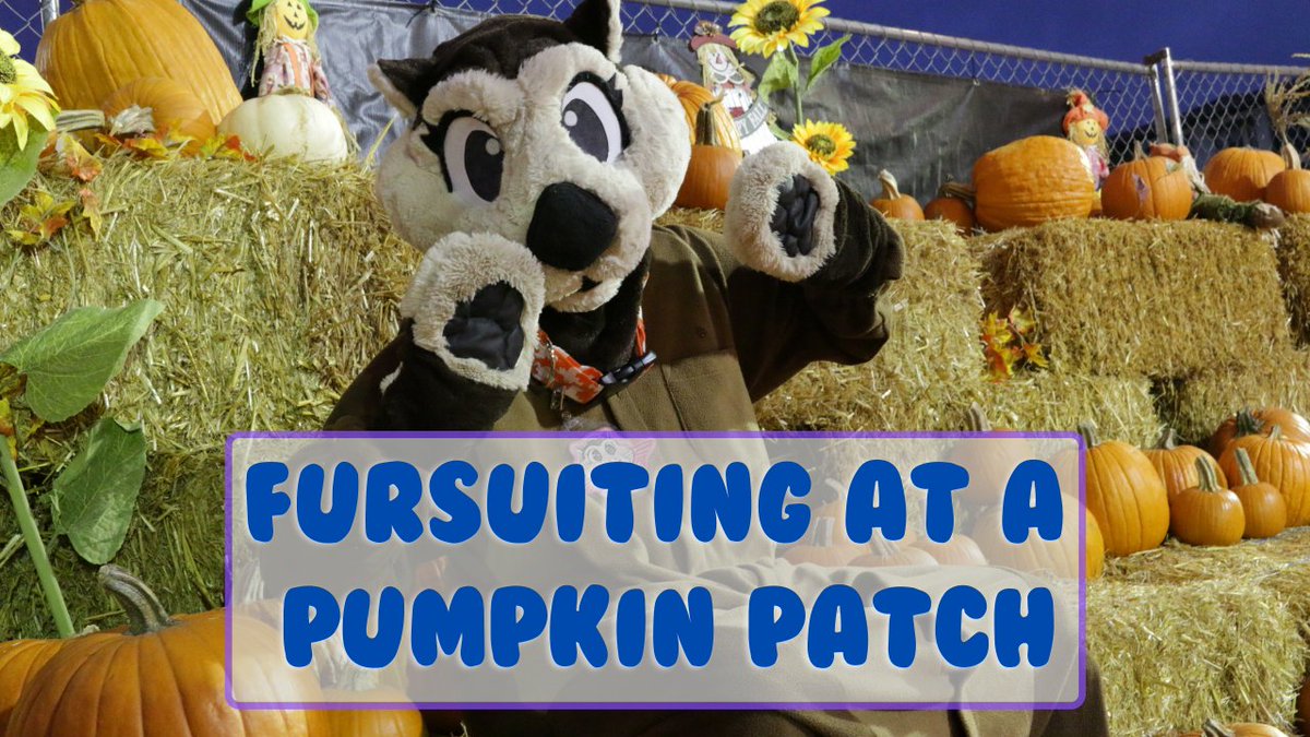CreativeCriters's tweet photo. Hey Critters long time no see. We've got a special treat for you this Halloween!

A video from the archives, it's:

 🎃Kit Goes to the Pumpkin Patch!🎃

https://t.co/A7LRP82L23

#Furry #Furries #Fursuit #Fursuiter #Furryfandom https://t.co/TE3O3y1GNU