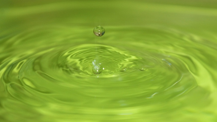 Зелёные водоросли. Он воде зеленый. Водоросли фон. Желто зеленые водоросли. Салатовый фон.