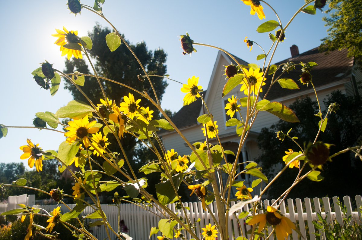 ...Fairer than all I can see...