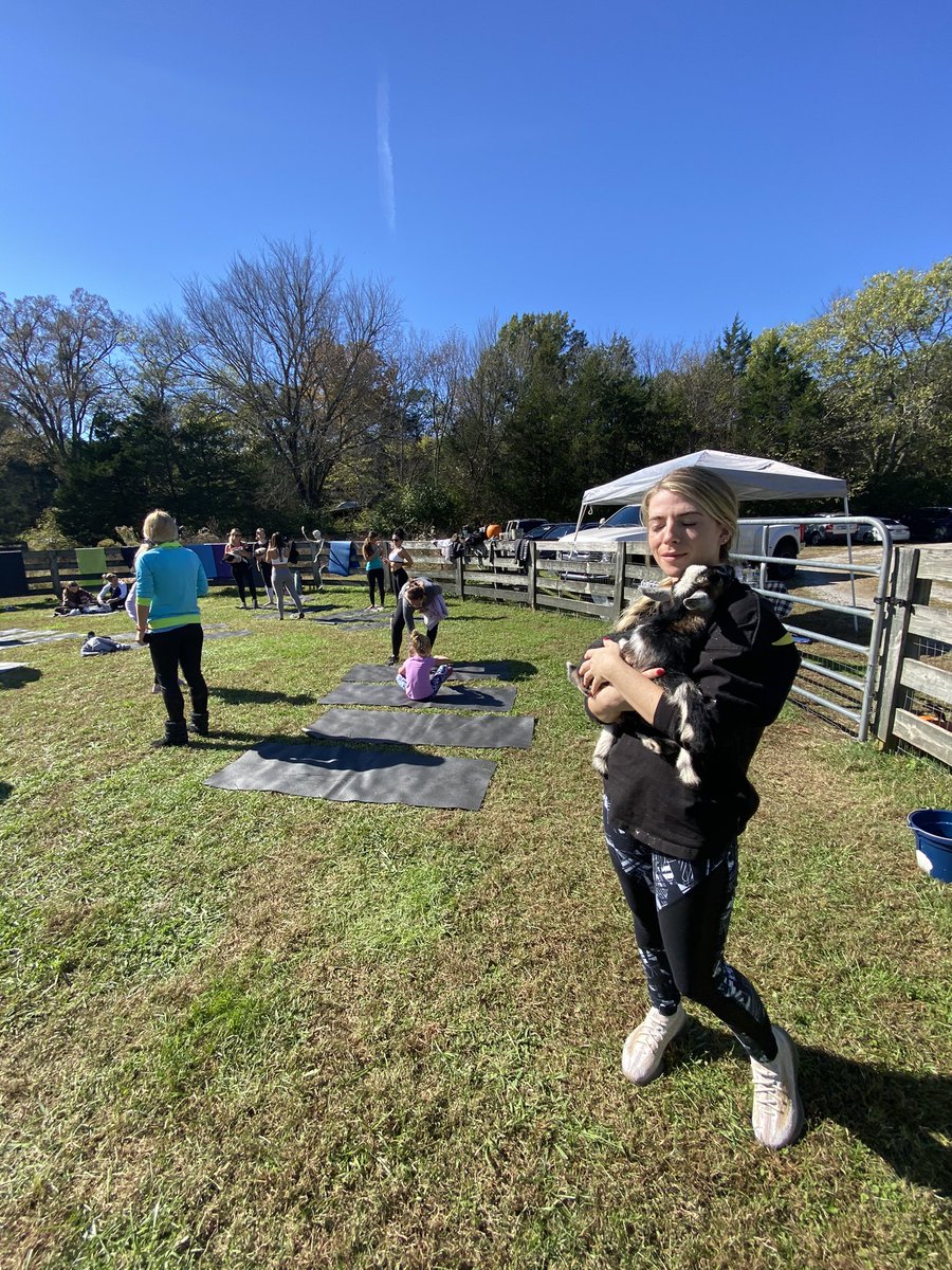 I yoga....but only with goats. #baaamaste
.
.
#yoga #goatyoga @goatyoganashville #r3set #getr3set @RissaBranch