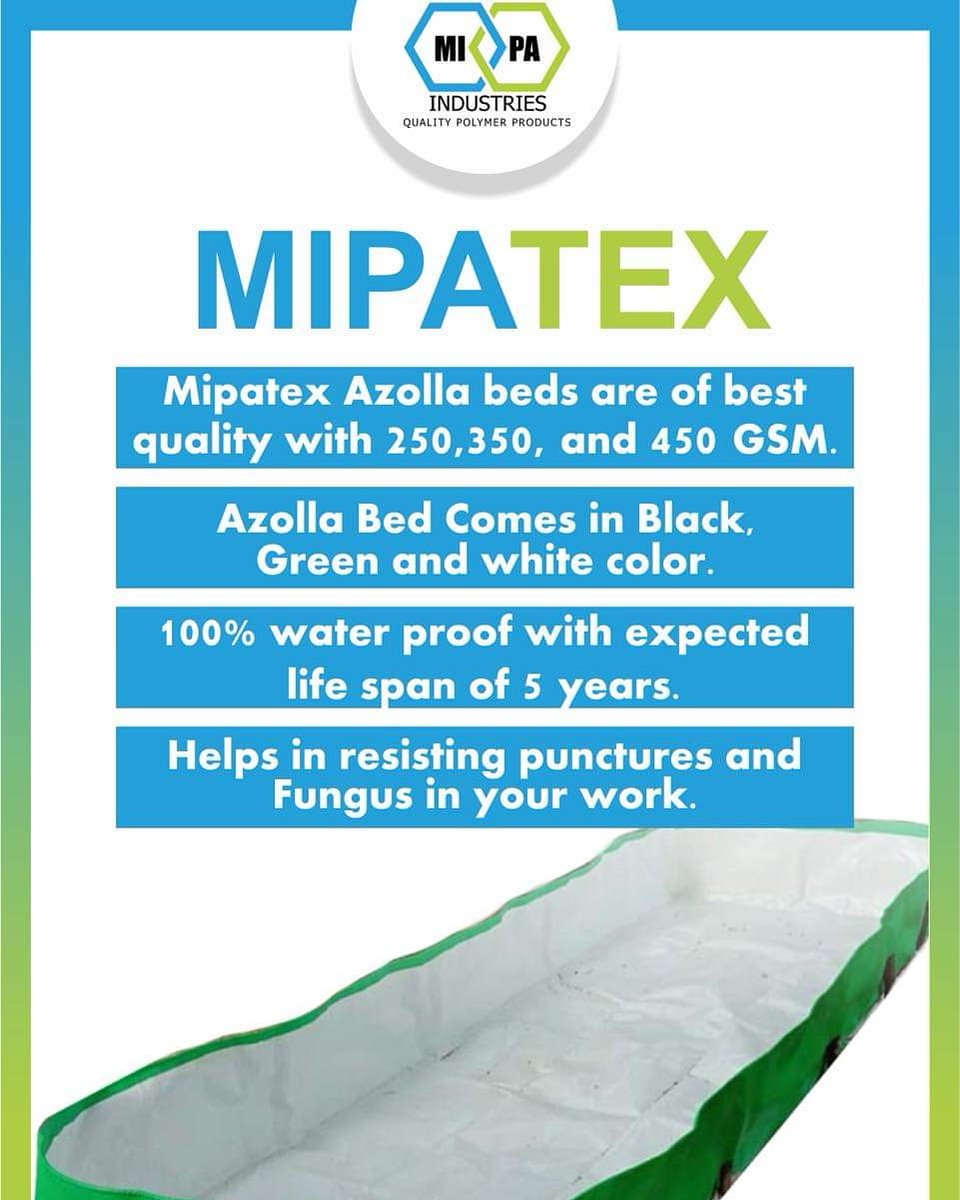 mipaindustries's tweet photo. Mipatex Azolla beds are majorly designed for easy cultivation of natural livestock feed and biofertilizer.

#mipatex #mipaindustries #azollacultivation #azollabed #azollafarm #aquaticplants #aquaticfern #aquaticfeed #farmingproducts #agriculture #urbanfarming #urbangardening https://t.co/mKeUnV52WJ