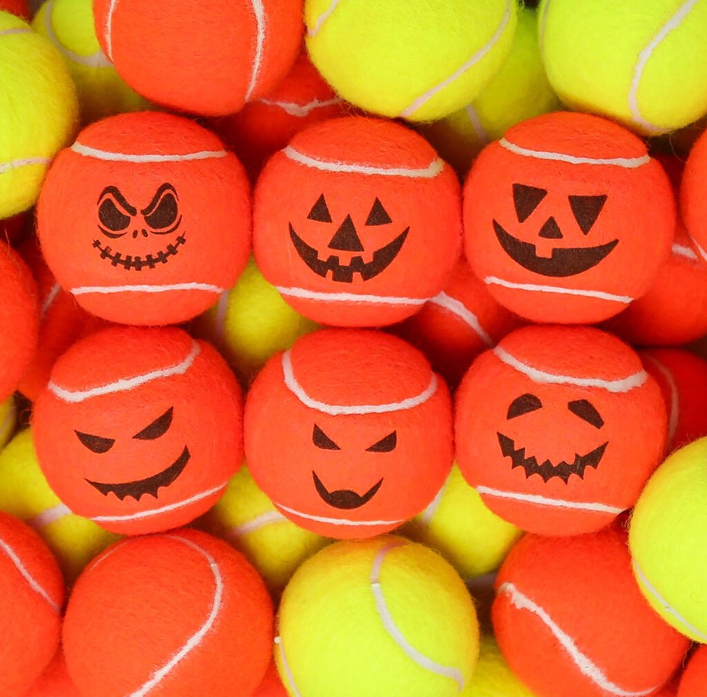 Brondcoaching's tweet photo. Happy Halloween 👻🎃☠️ #Halloween2020 #pumpkin #trickortreat https://t.co/yTfg0yPzYK