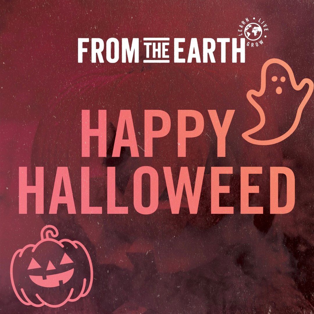 HAPPY HALLOWEED! We hope everyone has a fun &amp; safe day today 🧡🎃  

#halloween2020 #halloweed #fromtheearth #fte #porthueneme #longbeach #santaana #california #ouidcommunity