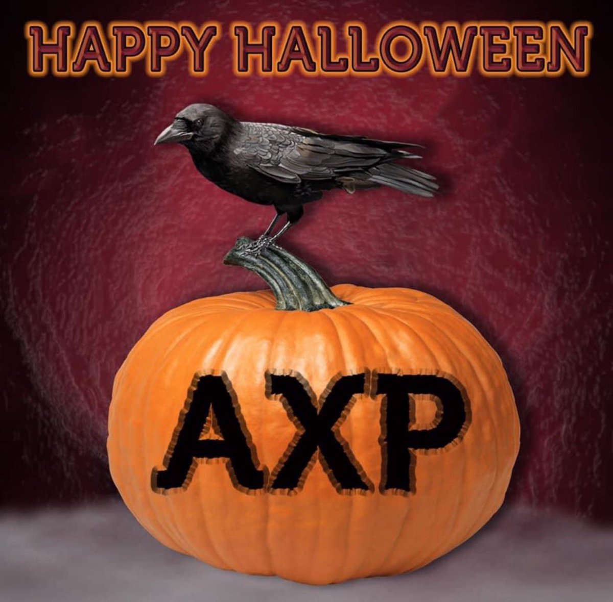 AXPCrowsRMU's tweet image. 🎃 Happy Halloween 🎃