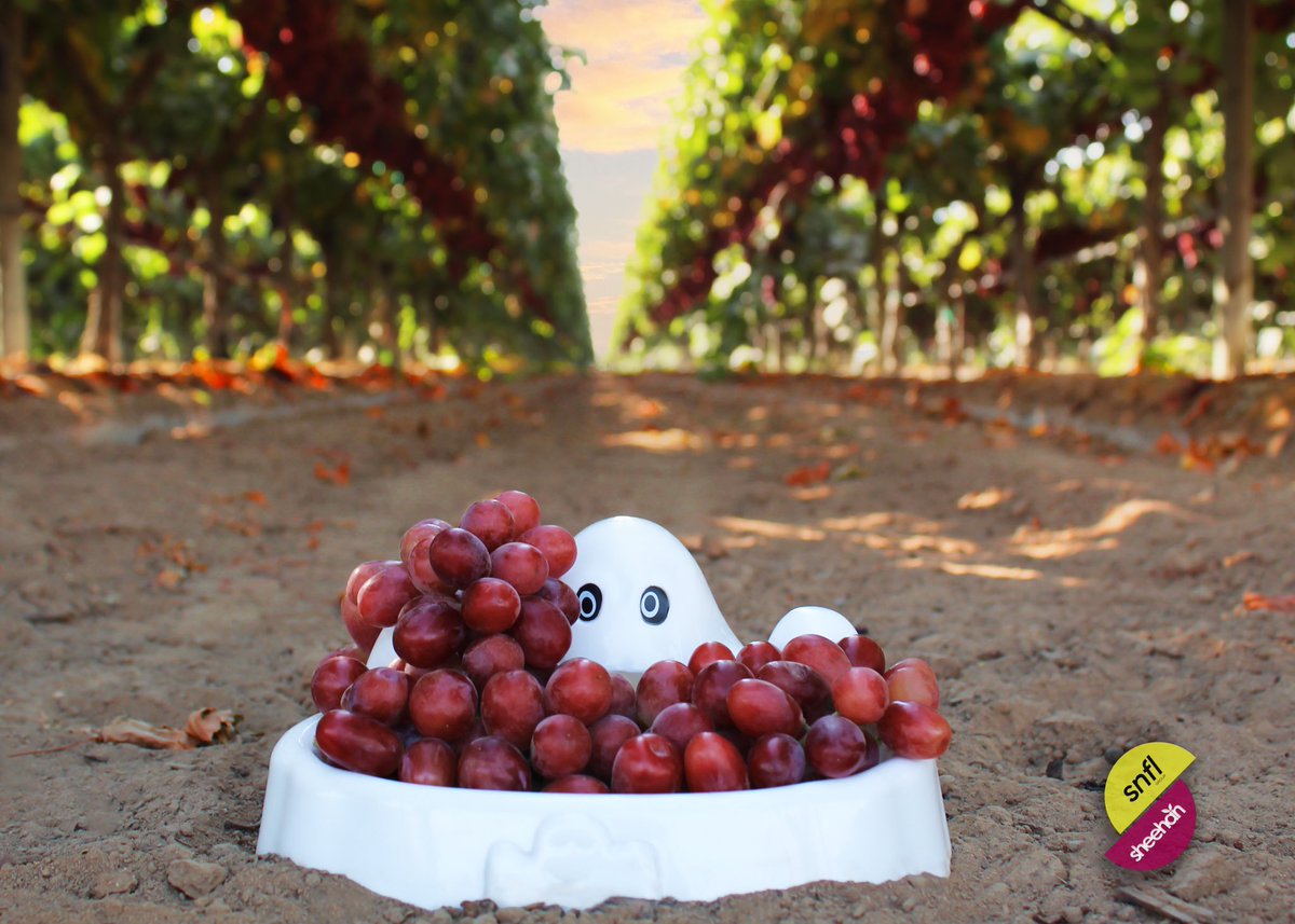 Our vineyard ghost wants you to have a healthy treat this Halloween with a bowl of delicious Allison Grapes 🍇