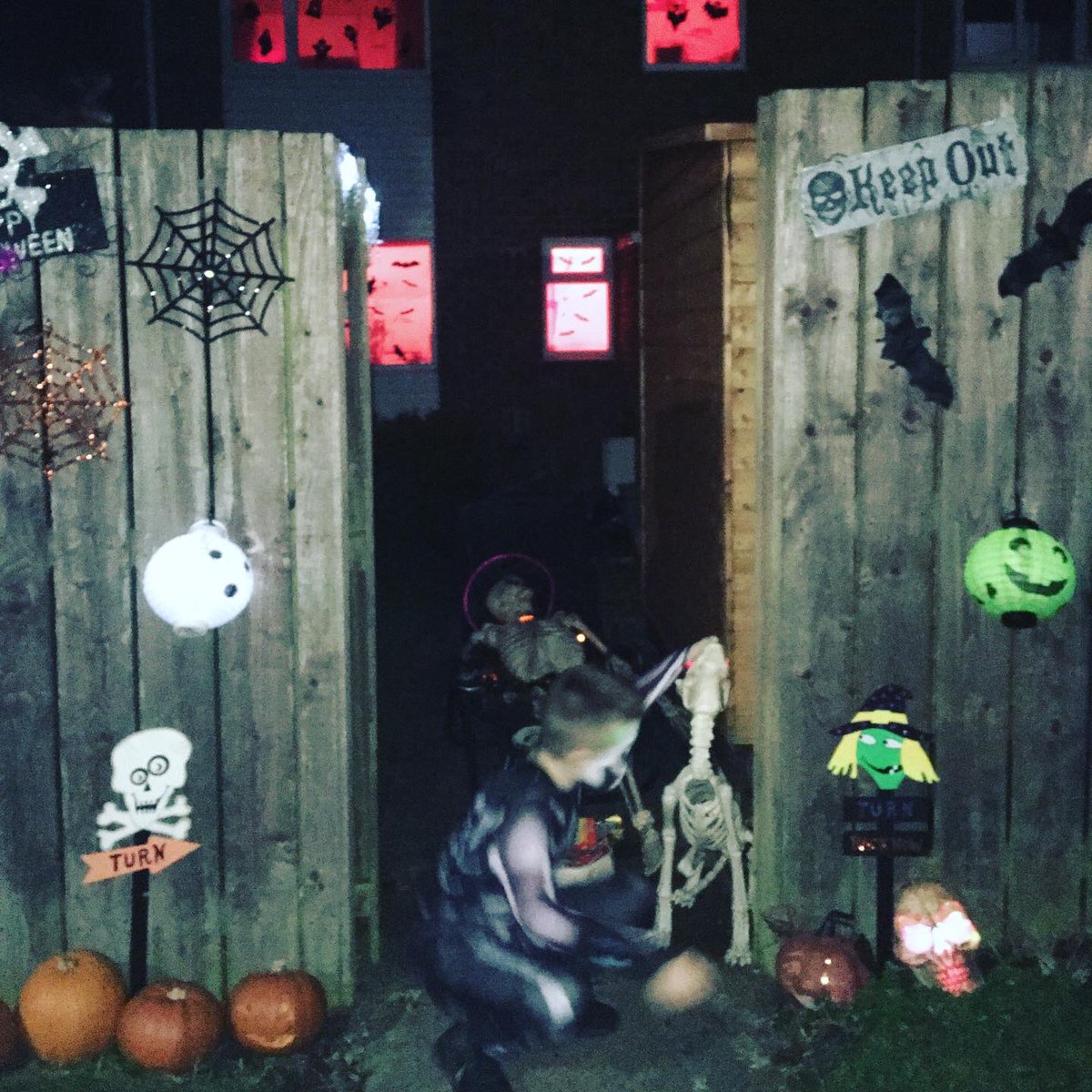 Alexandra Thompson tweet media