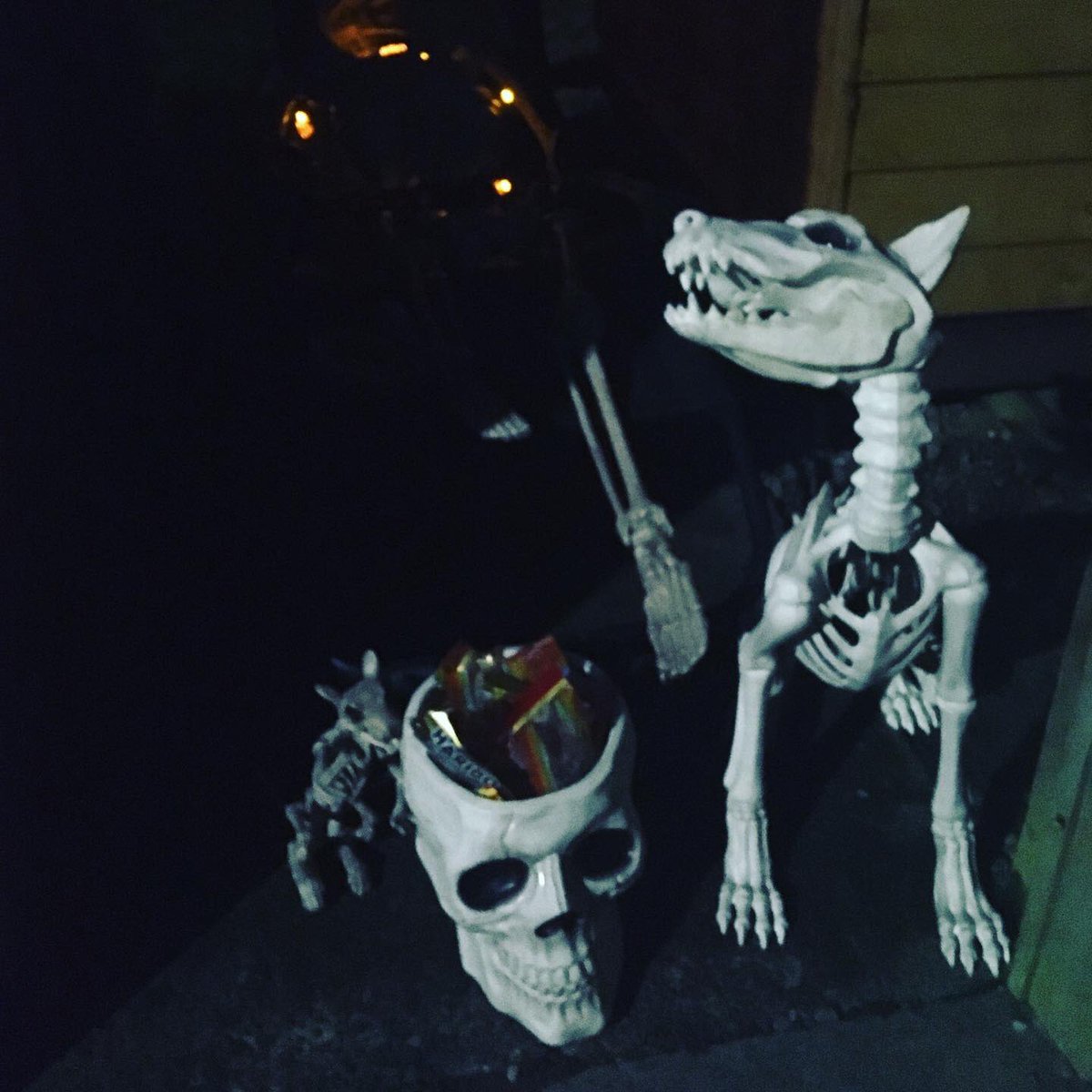 Alexandra Thompson tweet media