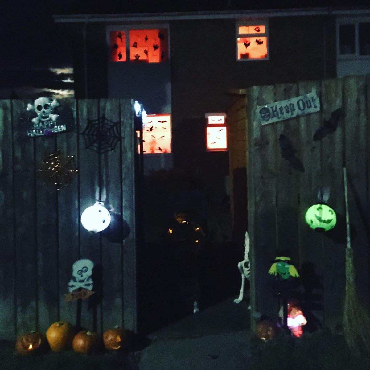 Alexandra Thompson tweet media