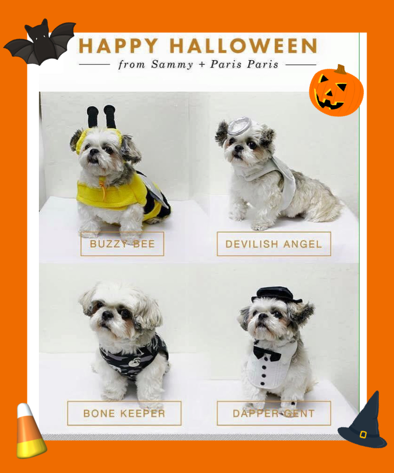 ParisParisAz's tweet photo. Happy Halloween from all of us at Paris Paris! #parisparis #halloween #happyhalloween https://t.co/n1MF6R3GS1