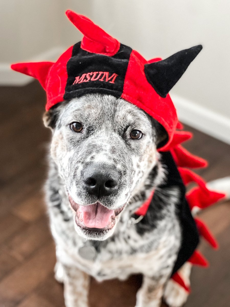 Jennifer Peters tweet media