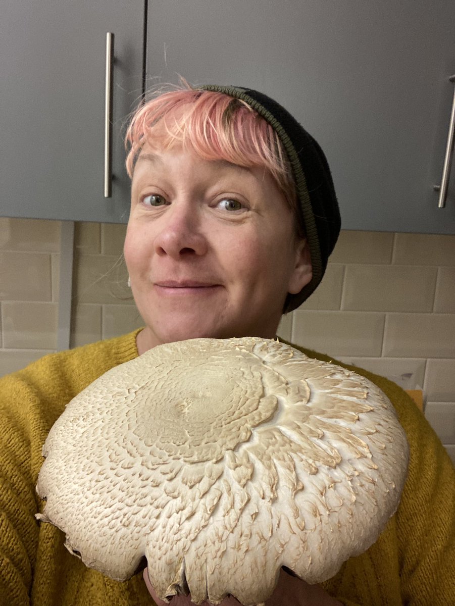 Carny Valley tweet media