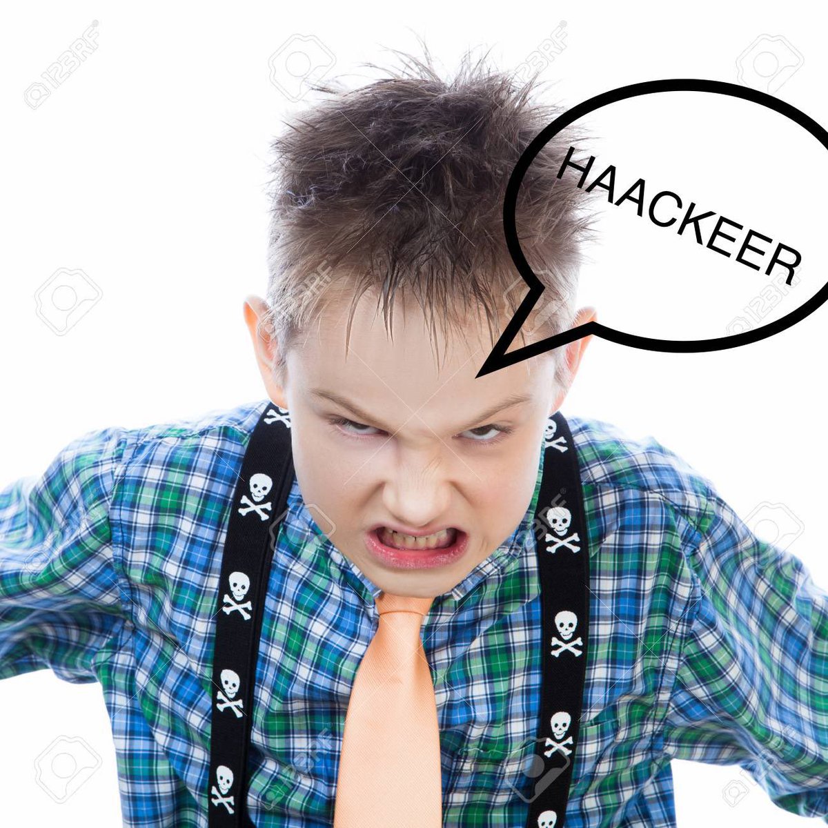 TimoliaUmfragen's tweet photo. Tureax Starterpack https://t.co/YcHbDx89fM