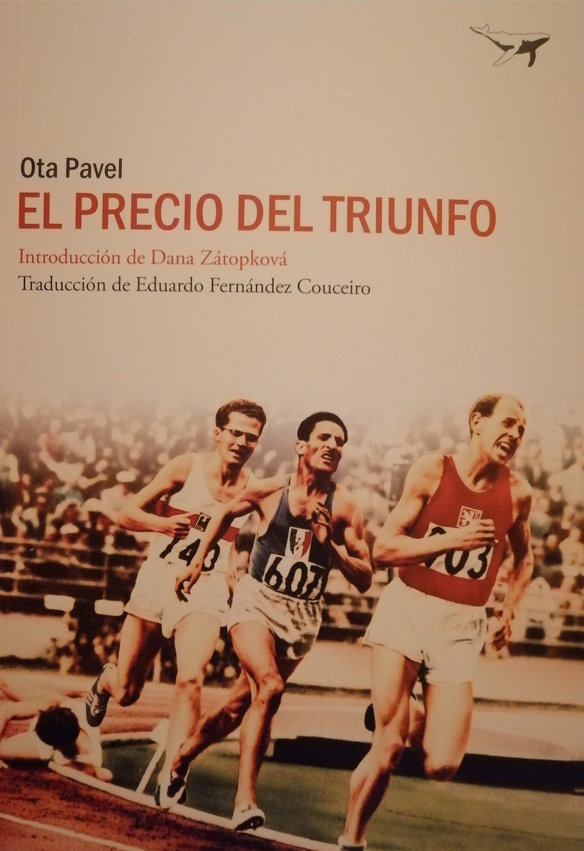 Franc Batlle ✨ tweet media