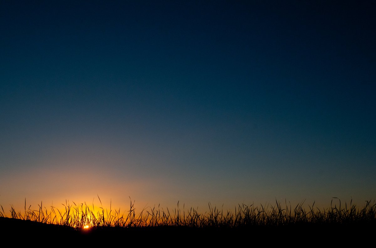 ...Fairer than all I can see...