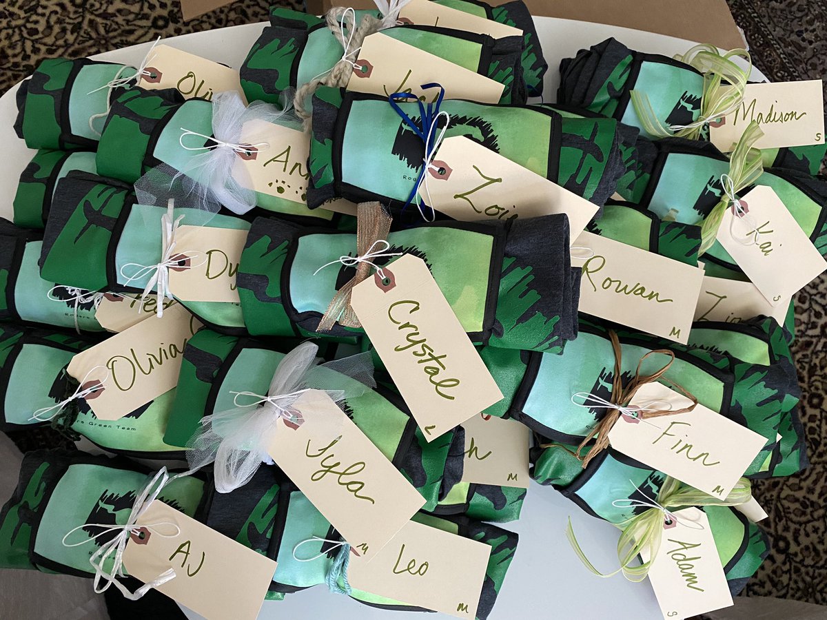 RogersGreenTeam's tweet photo. Green Team’s new shirts and masks are ready to be distributed at our next asynchronous day (TBD)! @RogersGreenTeam @Rogers_Mustangs @rogersmspta https://t.co/Wqfbkk8dRY