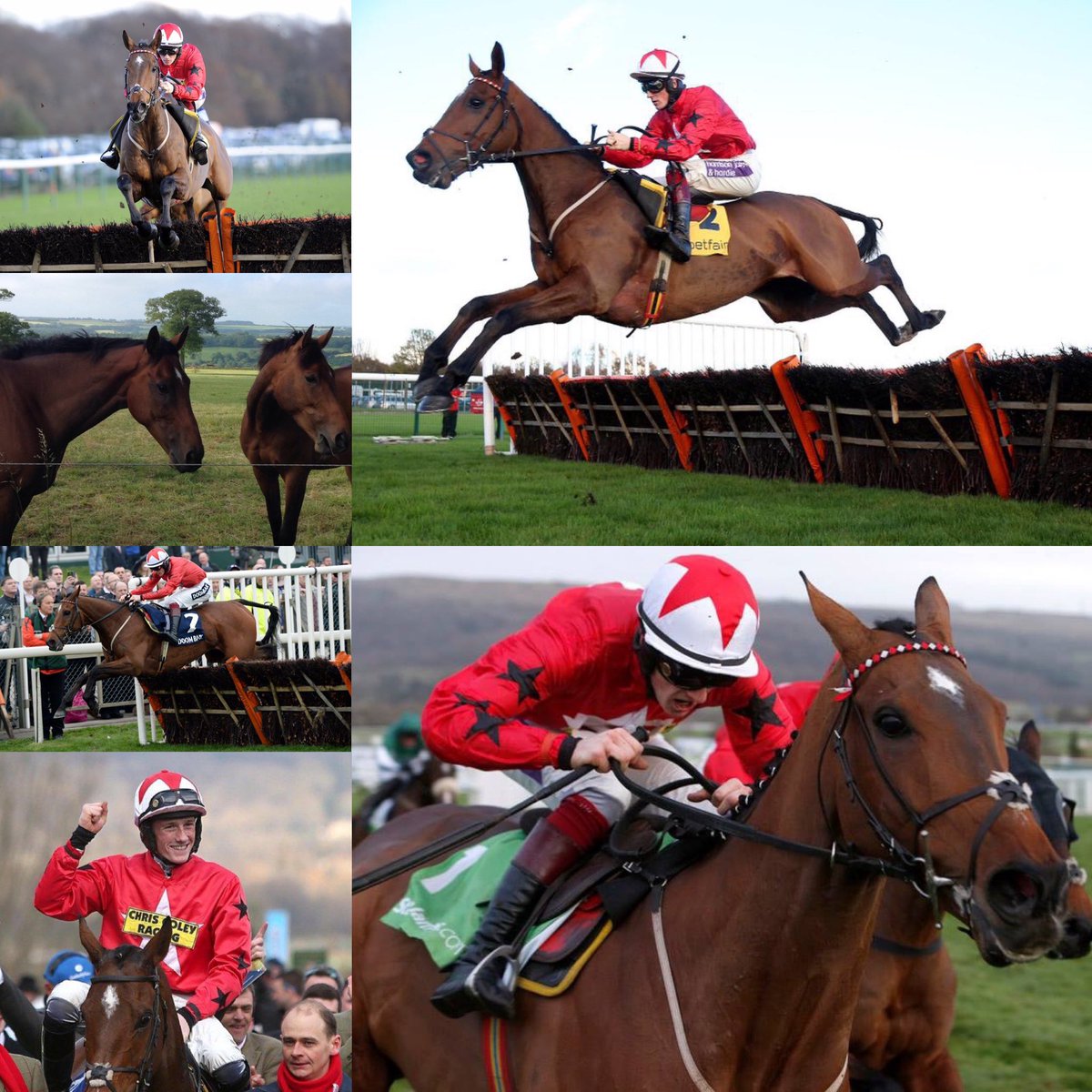 Sam Twiston-Davies tweet media