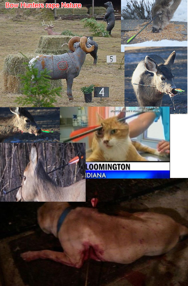 AnimalAbusers's tweet photo. In the top left picture is a bow hunting practice deer. The circle represents the kill zone. You can see how inaccurate bow hunting really is by all of the holes outside of the kill area. The animal suffer gruesome injuries and slow deaths. 
https://t.co/4qNKEVqVOP https://t.co/f1ZEhKPu1L