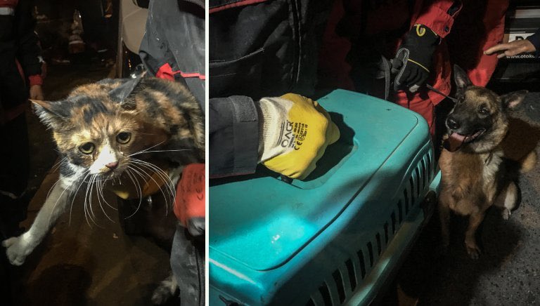 Kahraman #Bob ❤️