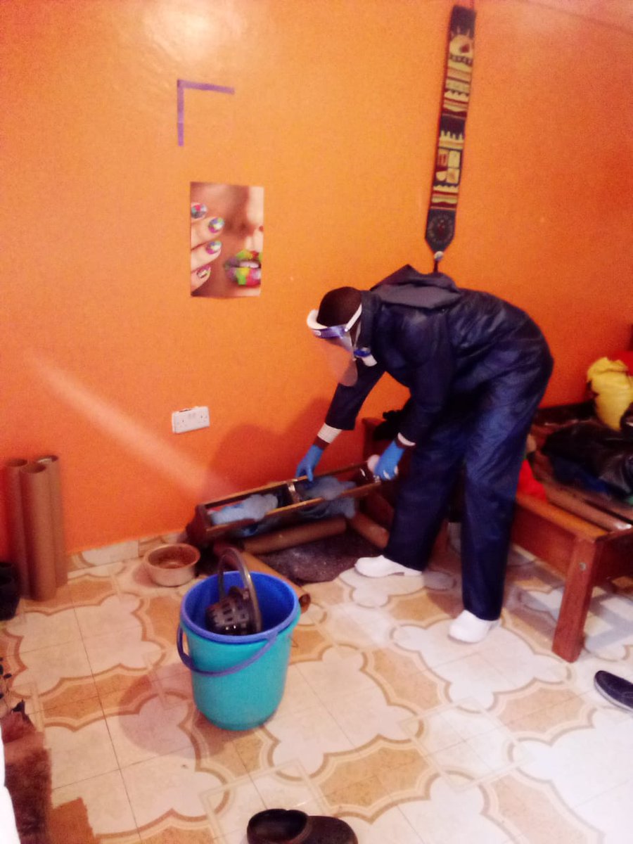 CespaHealthcare's tweet photo. ⚠️ CAUTION ⚠️
PEST CONTROL IN PROGRESS.

Call/whatsapp 0786777771

#WorldCitiesDay Halloween #InooroFMKesha Willis Raburu #COVID19 #MUNARS #PestControlKe https://t.co/qYsS5v7SJy