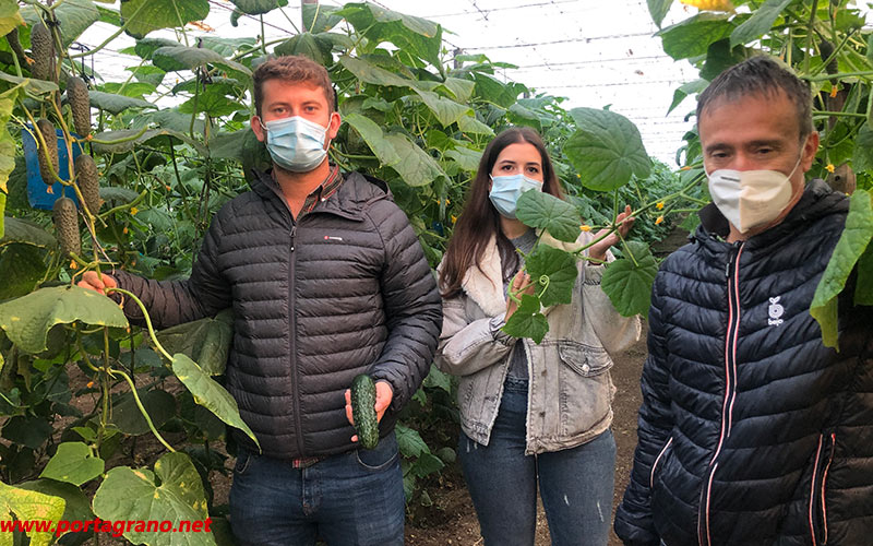 Portagrano's tweet photo. 🆕🔝🆙Bejo penetra en el mercado del #pepino español con la variedad Akasya https://t.co/TQdsDZv4oS
#agricultores #agricultura #Almeria #invernaderos #BejoSeeds @nuriabejo https://t.co/mwDLWOz9X7