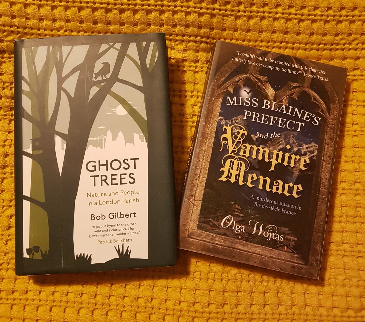 sara_lom_'s tweet photo. The perfect Halloween Duo! @OlgaWojtas #bobgilbert @SarabandBooks https://t.co/heB4r38LEM