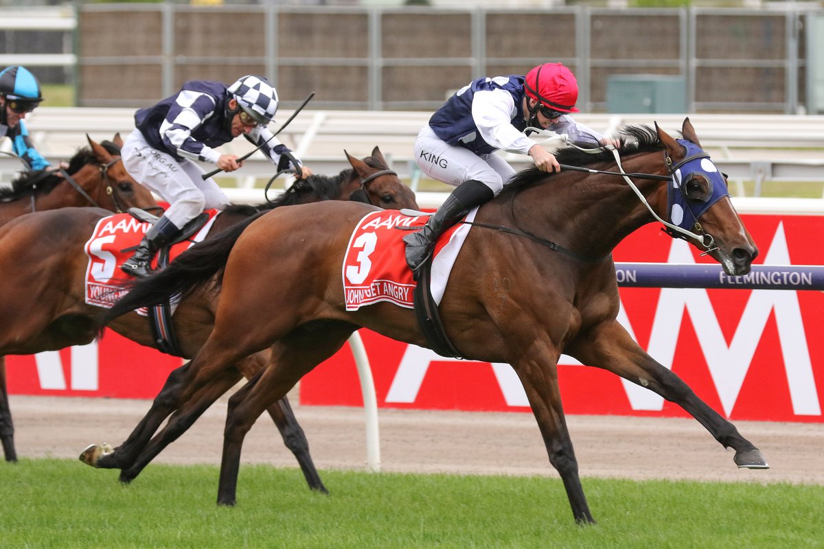KarakaChat's tweet photo. #JohnnyGetAngry (NZ) (Tavistock), a Bradbury Park #Karaka 2019 Book 1 purchase, joined the honour roll for Australia's oldest classic – the A$2M G1 Victoria Derby (2500m).

“Troy sourced the horse for me – how he got him for $50,000, I'll never know”

🗞️: https://t.co/c33qYOzOXc https://t.co/KhkSiVpR4f