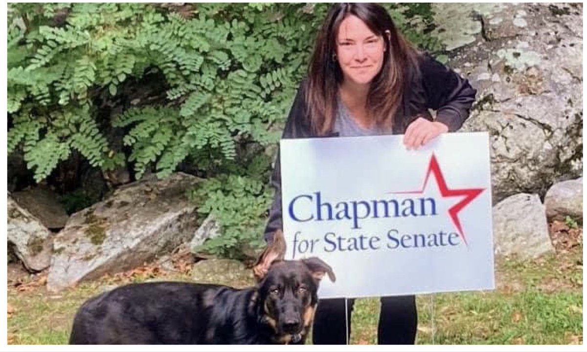 Susan Chapman tweet media