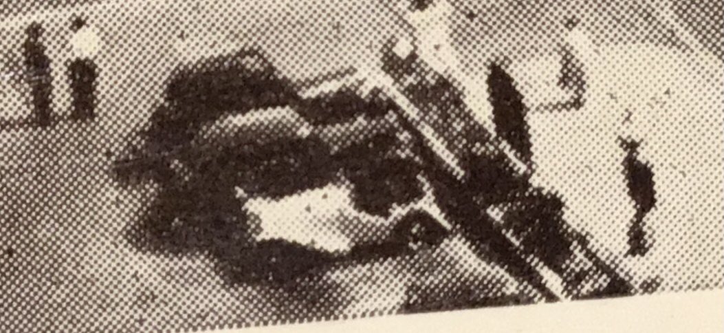 RealTimVine's tweet photo. Could anyone identify this white car? https://t.co/bhV3pAaWVq