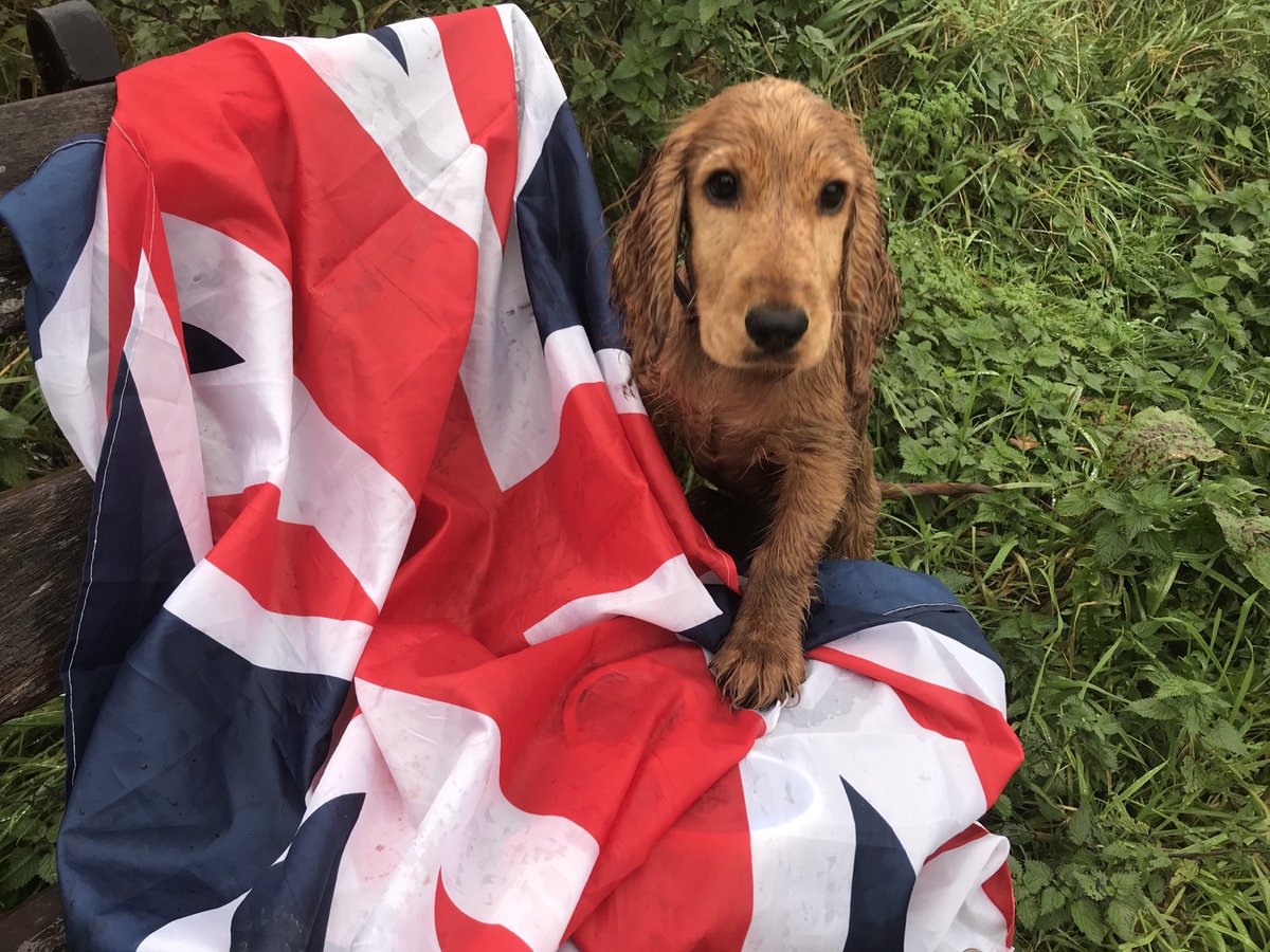 Come on UK. #PullTogther There is always someone who needs your help.