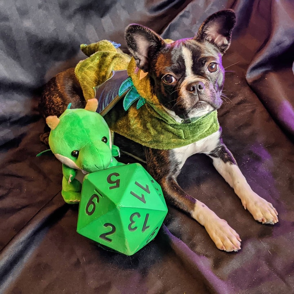 SNSYEG's tweet photo. Halloween might look a little different this year, but we hope you are staying safe! From our (extended) family to yours, we hope you have a spooktastic evening and enjoy lots of treats!
#halloweencostume #dogcostume #dnddogs #dnd #yegdnd #yegtheatre #… https://t.co/TgptULxpOr https://t.co/krsxgIRHcB