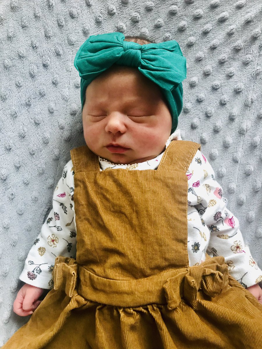 brandon_vaughan's tweet photo. Can’t believe it’s been almost a month but happy to announce our Halloween treat Cara Rose born Oct 3rd. Tops the list at #7 of our little Vonsters. https://t.co/K0OEQF2W9w