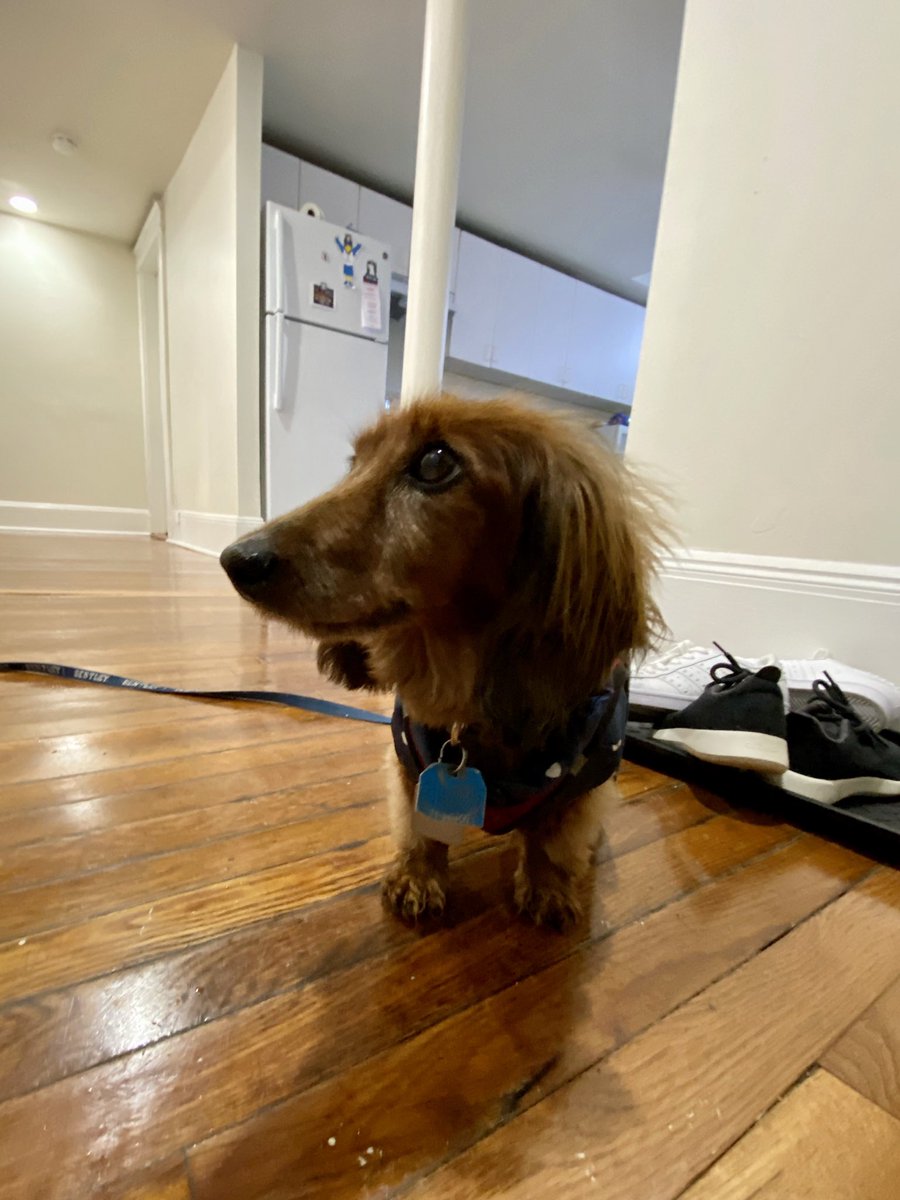 New apartment. Listing said dog friendly but I can’t reach anything in here. Pls help.