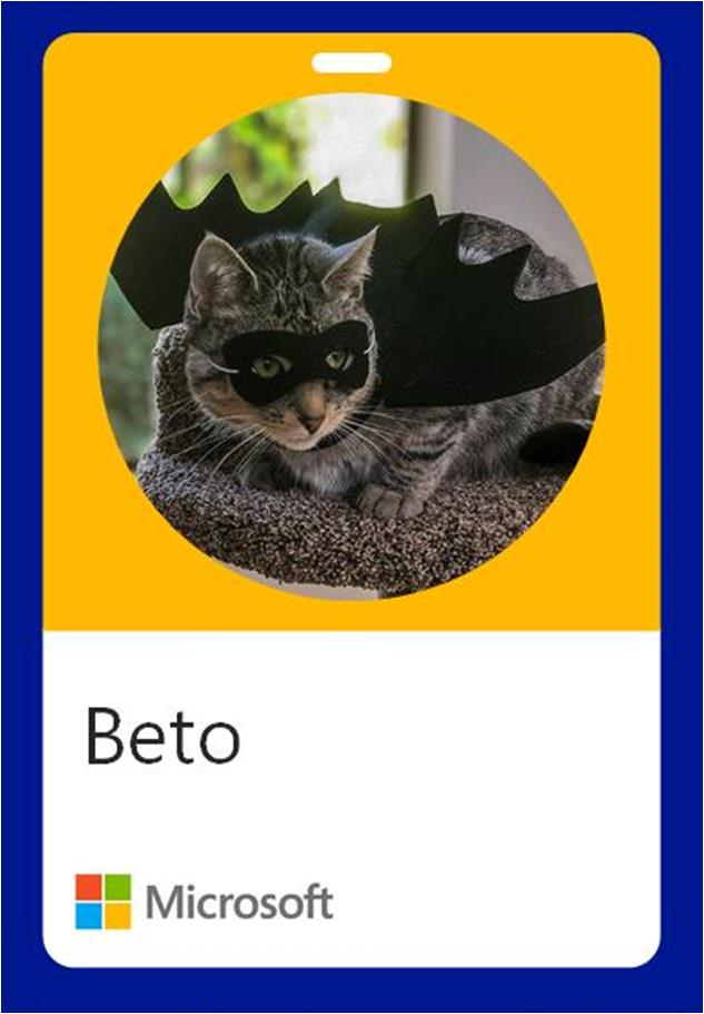 Na na na na na na na na- BETO!
#HappyHalloween #CatsOfMicrosoft #Caturday #MicrsosoftLife
