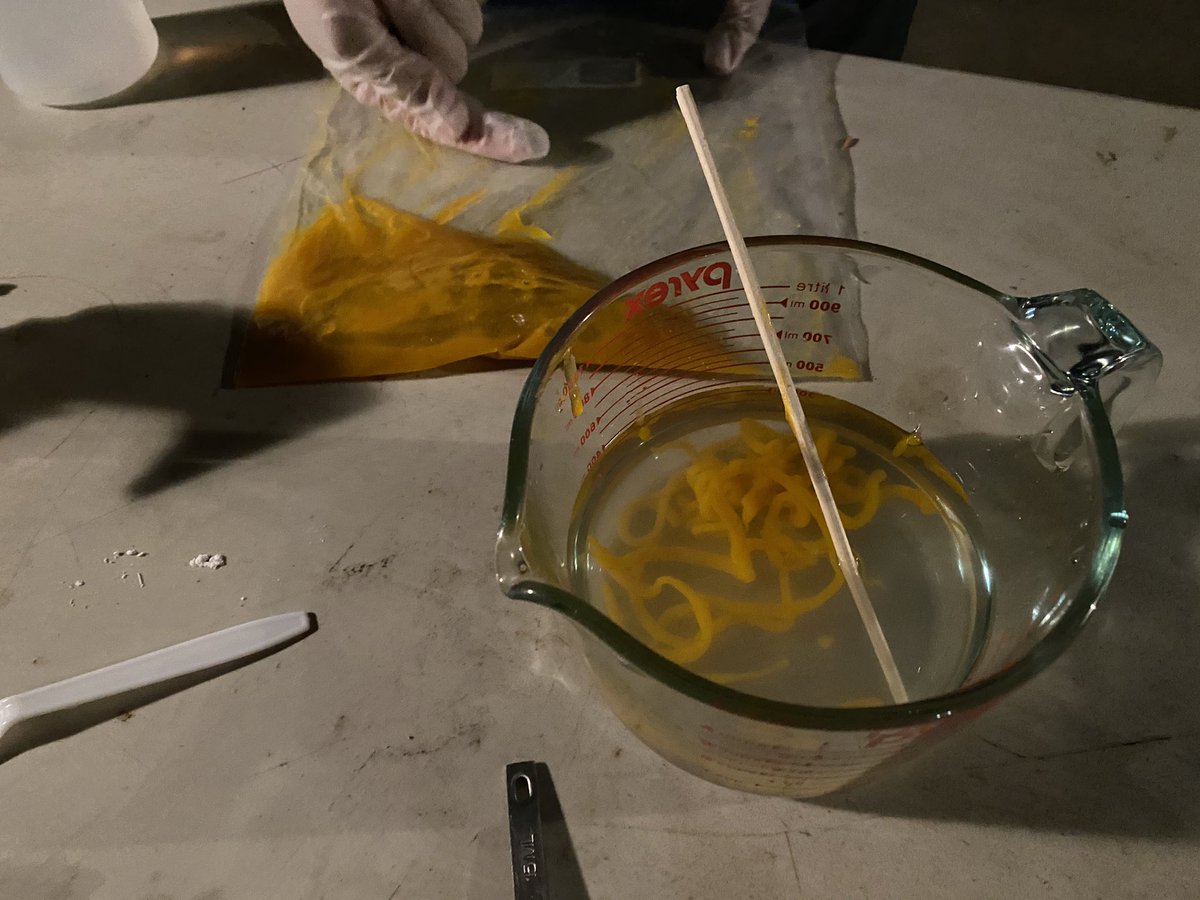 Callie Chappell tweet media