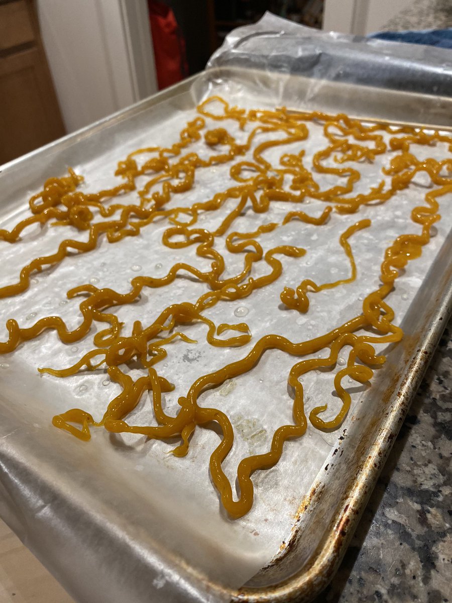 Callie Chappell tweet media