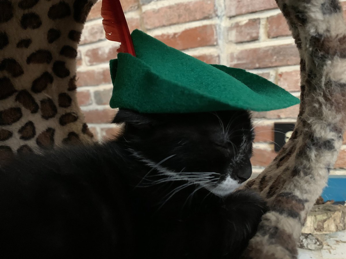 I don’t know if I’ll be able to get a picture of him with the hat on while he’s awake, so this might be as good as it gets.