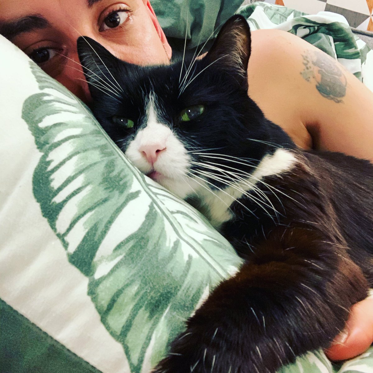 andrewkeates's tweet photo. My cat #TobyPage expressing the national feeling in the UK after another lockdown is announced today. https://t.co/o6tN2rjqgo