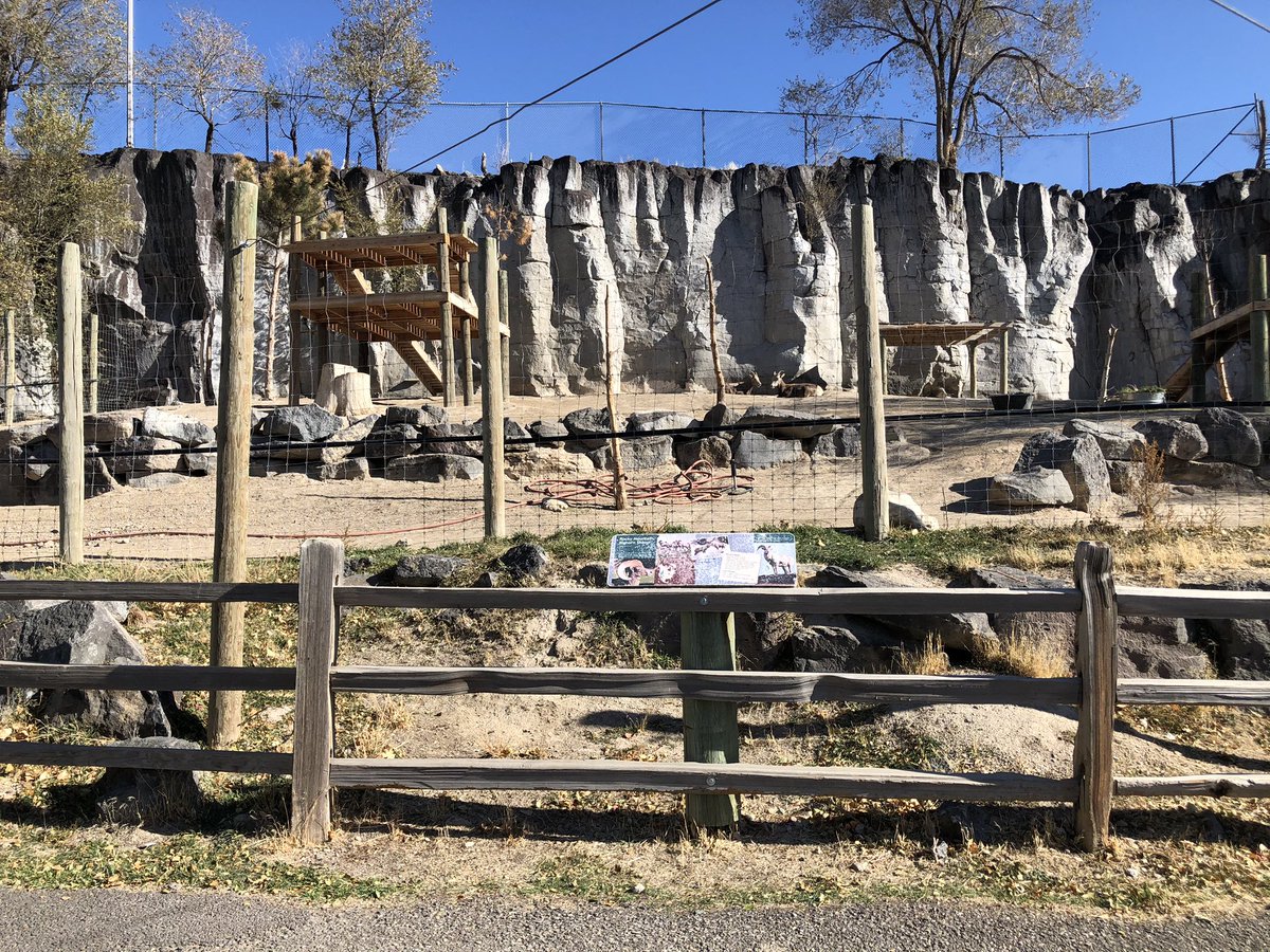 lookoutcu's tweet photo. We had a spooky good time at @ZooIdaho Zoo Boo! We love supporting our zoo, and seeing the community come out to enjoy the great weather and Halloween festivities today!
Happy Halloween from all of us! ๐๐ป
#isucu #isucreditunion #cudifference #zooidaho #halloween #zooboo https://t.co/ugn5AWTRN1