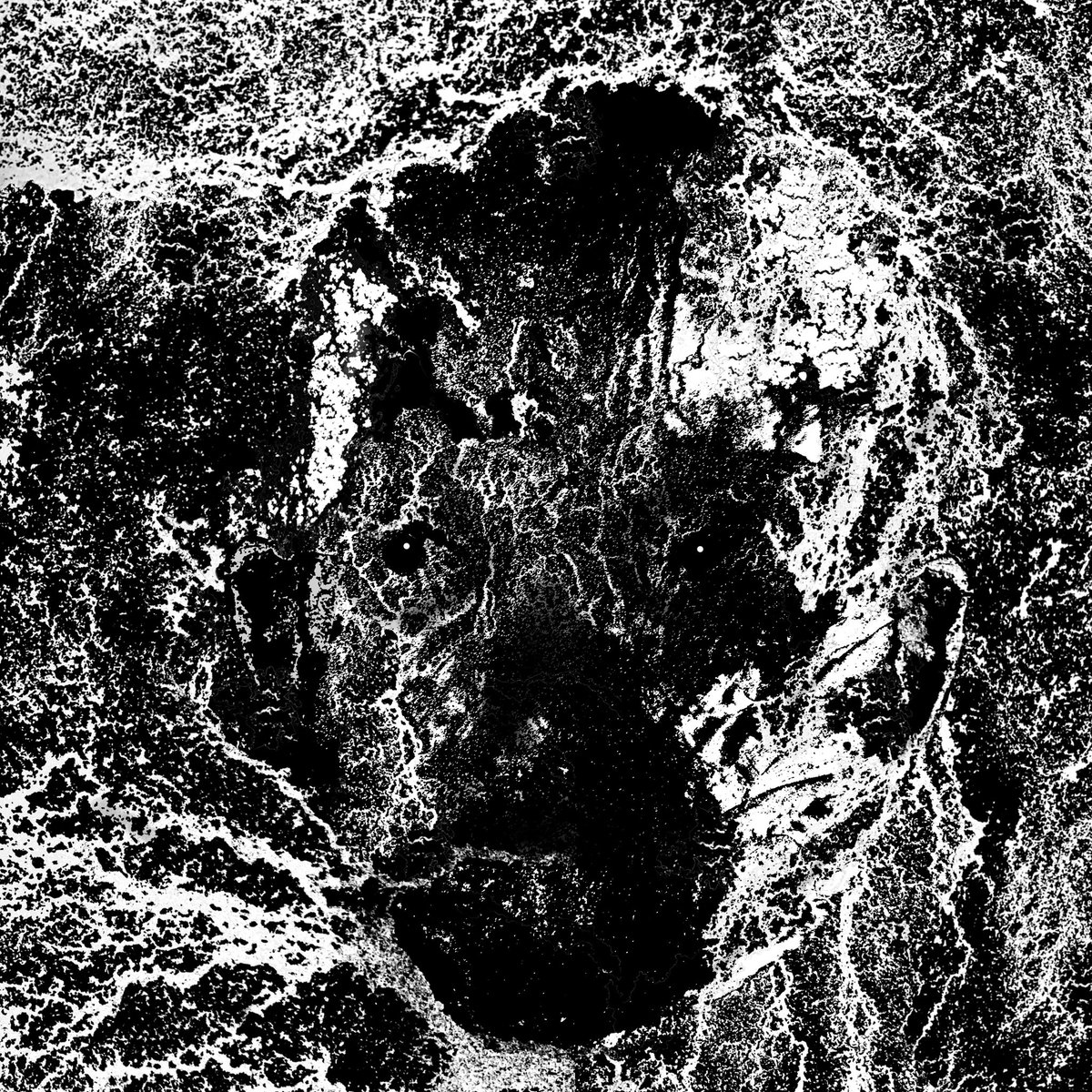 THEERUINER's tweet photo. No. 30 • ink and digital #inktober #inktober2020 #notreallyinktober #ink #drawing #illustration #art #adrawingaday #notheme #reticulation #inktextures #rottyhead https://t.co/iBrnjr9VXi