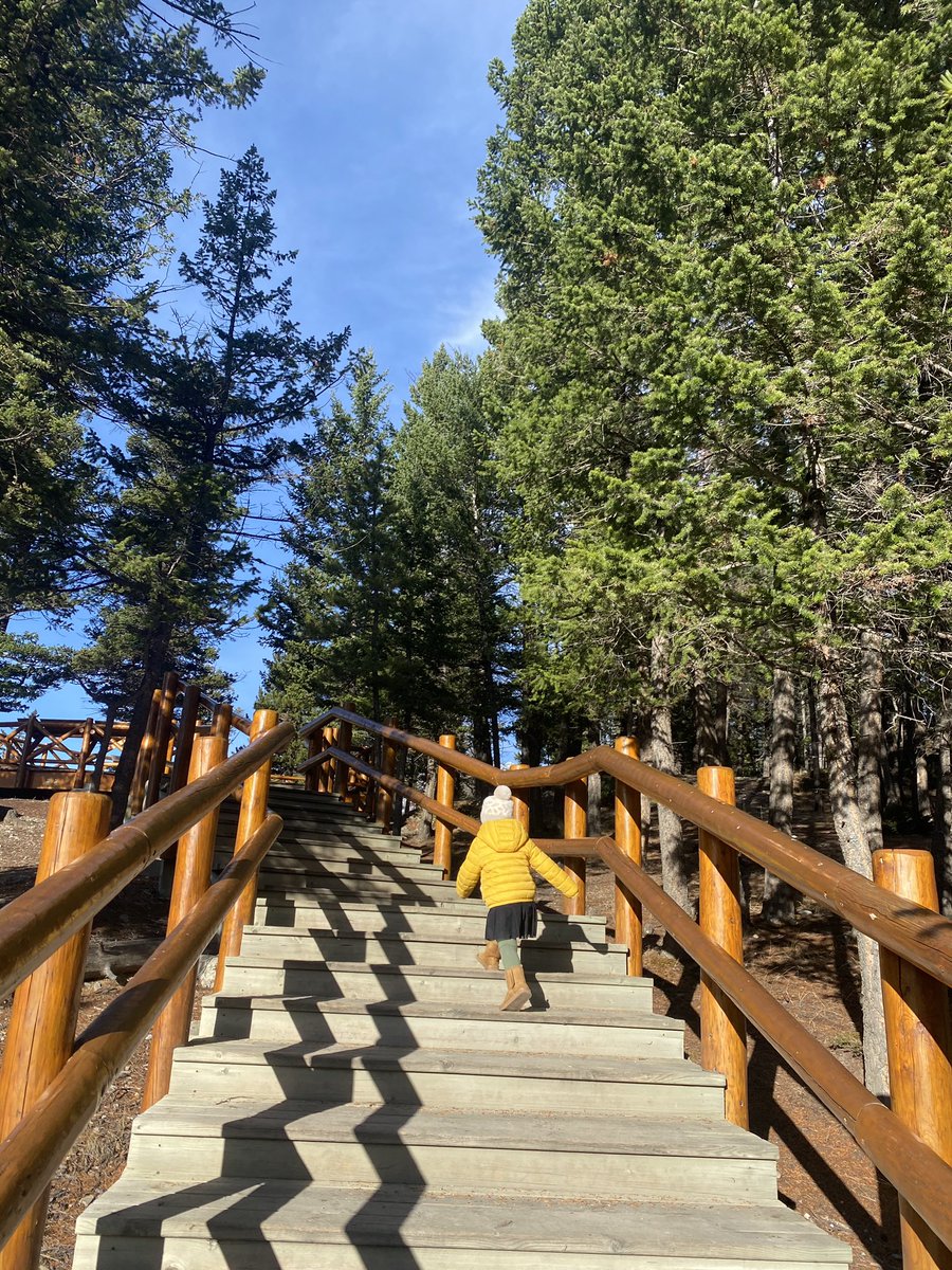 chefkaiser's tweet photo. My backyard never gets old. #ExploreAlberta We’re raising a mountain girl. https://t.co/vPGSdlJiPD