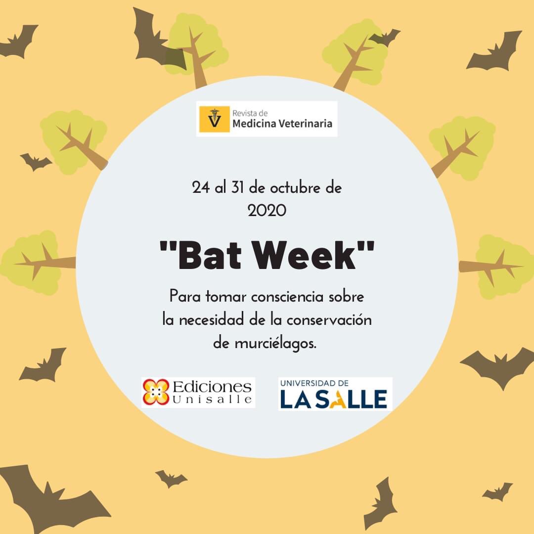 RevMedVet's tweet photo. 24 al 31 de octubre de 2020
"Bat Week"
Para tomar consciencia sobre la necesidad de la conservación de murciélagos.
@ediunisalle @unisalle #batweek #batweek2020 #murcielago #murciélagos #rol #rolinnature #contience #conservation #conservación #ecologica #disseaseecology https://t.co/DEnDvV8FL4