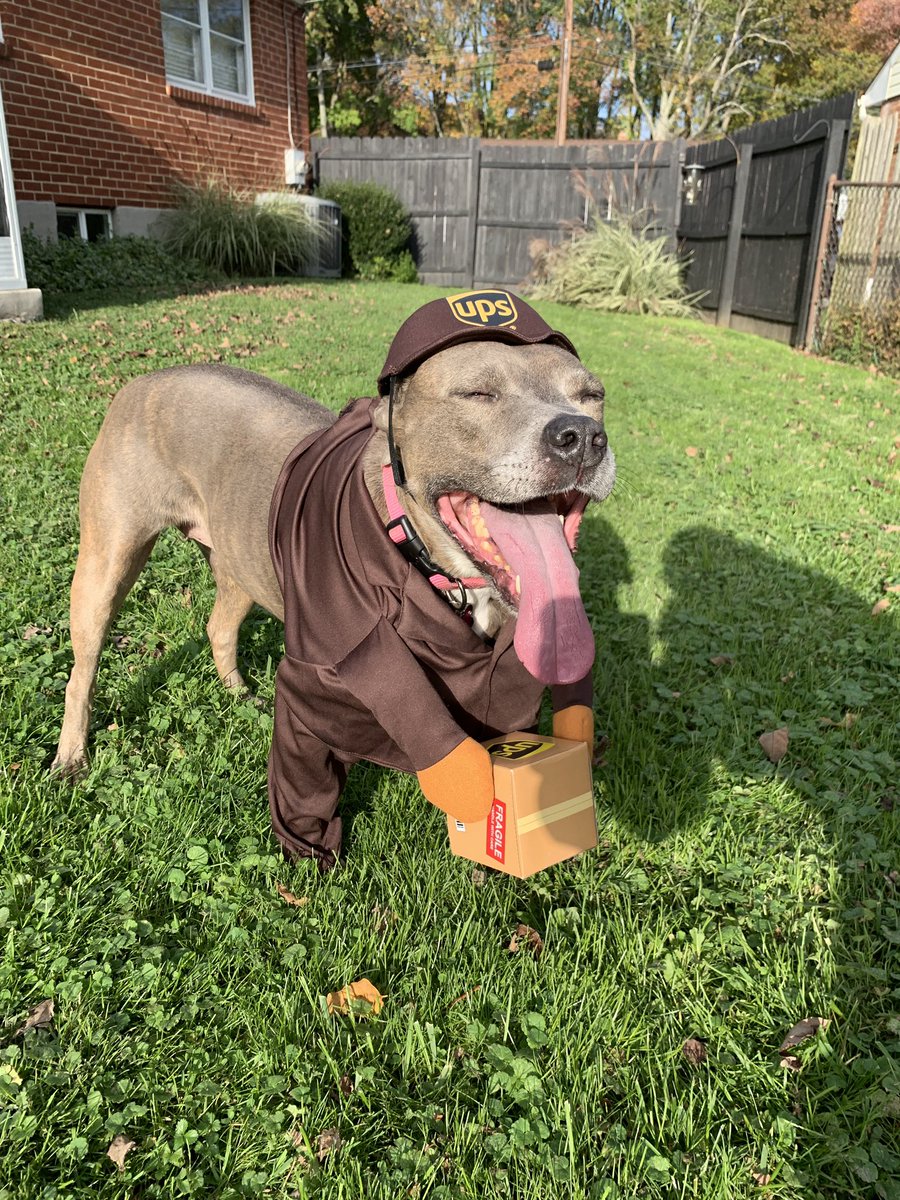 emilyparsons's tweet photo. This UPS driver shows up to your door. What do you do? https://t.co/vm6MxfZrJW