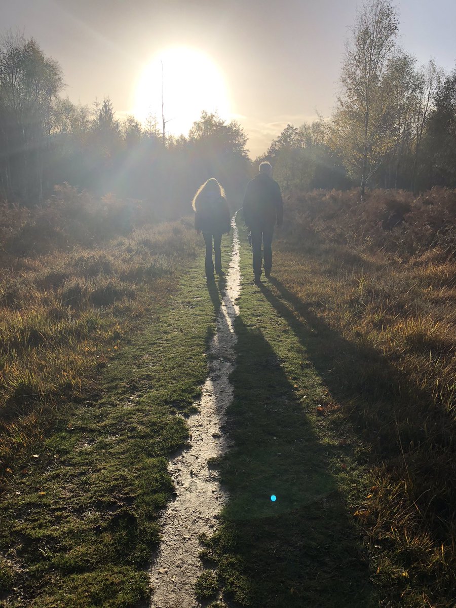 Beautiful watery walk in the New Forest this arvo ❤️