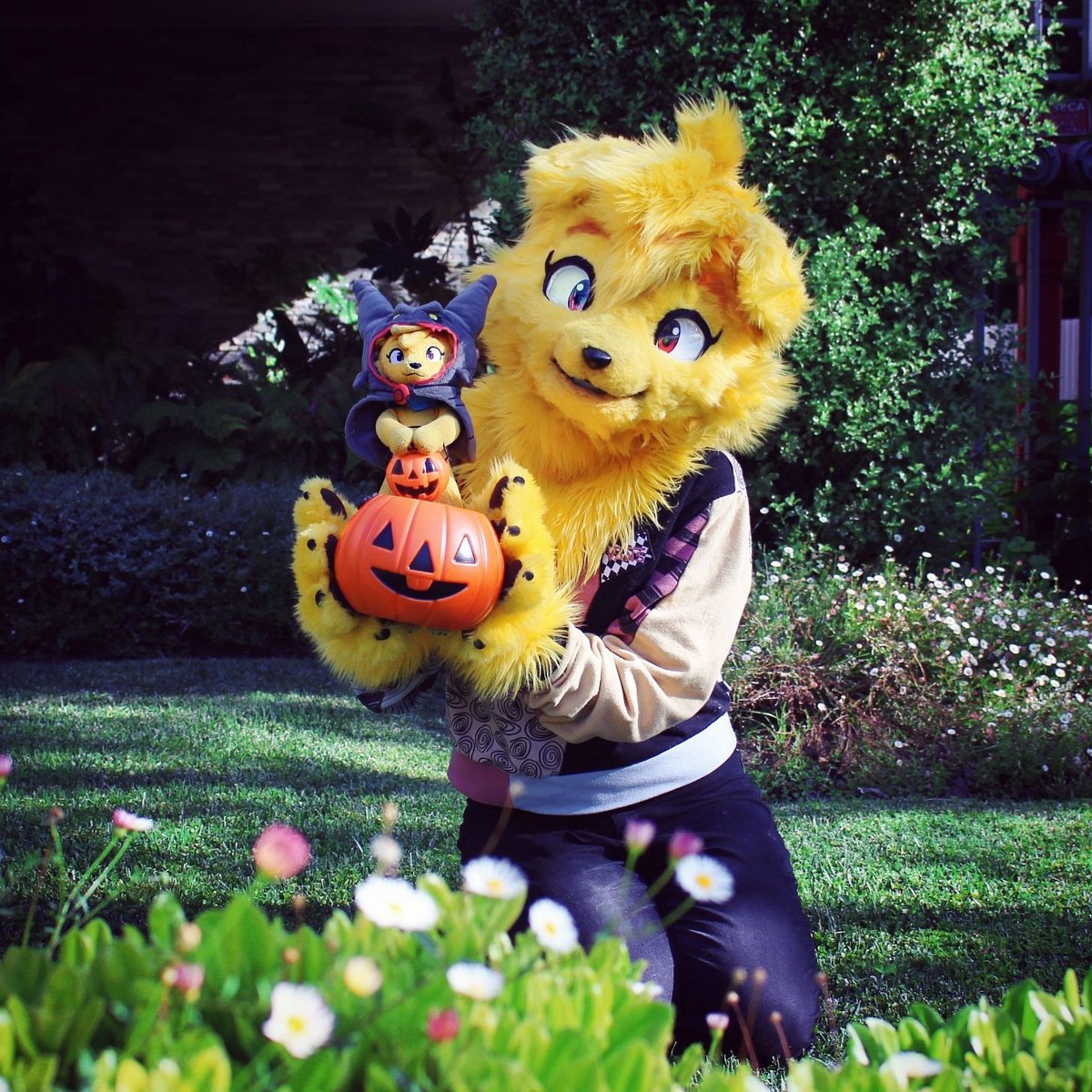 Dracanimaker's tweet photo. Happy happy halloween!!!
#Halloween2020 #Halloween #kemono #fursuit #furry #dog #fursona #plush #dracani https://t.co/RnGDG7jYEi