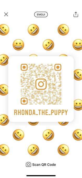 Fatty has her own Instagram page. Follow her 😬 https://t.co/XZo8wq0Zzi